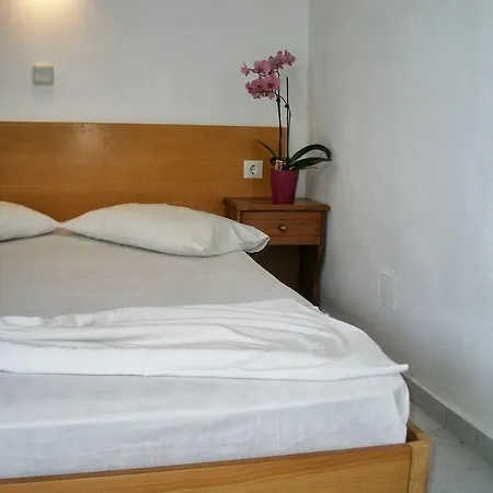 Sunlight 2* Theológos