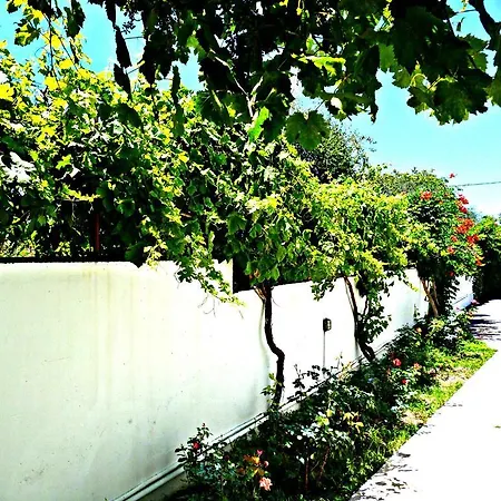 Sunlight 3*